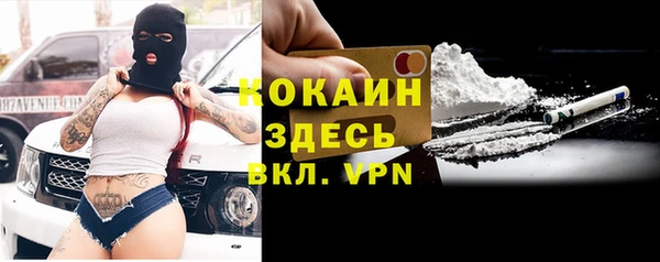 крисы Алзамай