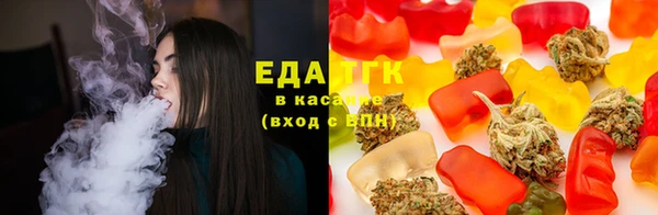 крисы Алзамай