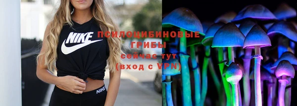 крисы Алзамай