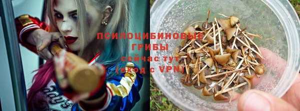 apvp Алексеевка