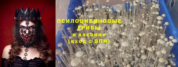 apvp Алексеевка