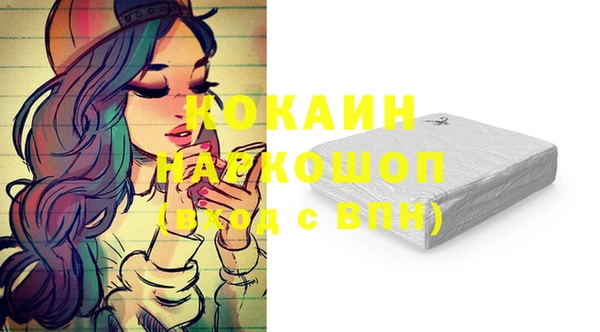 крисы Алзамай