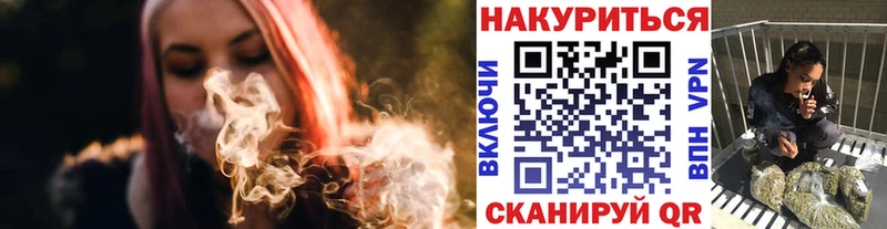 наркота  Боровичи  Каннабис сатива 